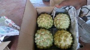 Fresh Custard Apple