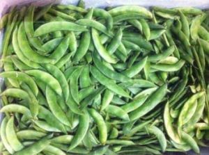 Fresh Peas