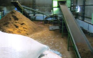 Belt Conveyor System