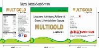 multi vitamin milti mineral antioxident with ginseng capsule