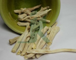 ASPARAGUS RACEMOSUS EXTRACT (Indian Asparagus, Shatavari extract)