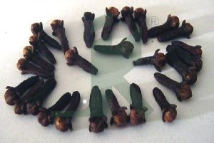 Cloves