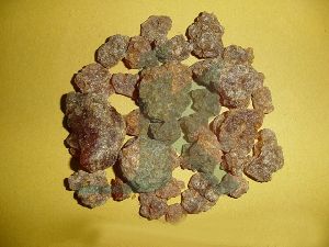 COMMIPHORA MUKUL EXTRACT (Guggul extract)