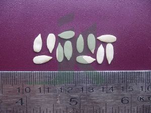 CUCUMIS MELO (muskmelon seeds)