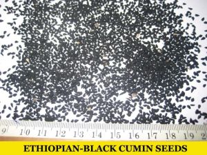 CUMIN SEEDS EXTRACT