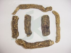 IPOMOEA TURPETHUM (jalap root)