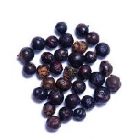 Juniper Berries