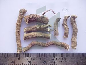 punarnava root