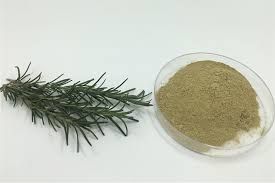 ROSMARINUS OFFICINALIS EXTRACT (Rosemary extract)