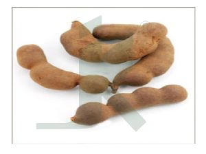 TAMARINDUS INDICA EXTRACT (Tamarind extract)