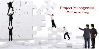 Project Management Consultancy
