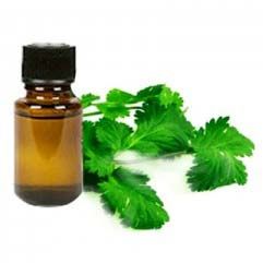 coriander oils