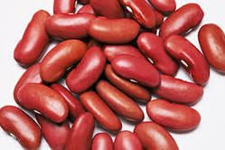 Kidney Beans