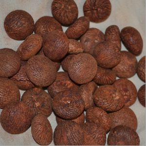 Red Betel Nuts