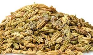 Fennel Seeds