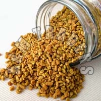 Fenugreek Seeds