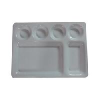 acrylic compartment plates