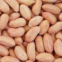 Peanut Kernels