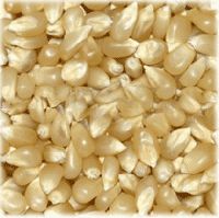 White Corn