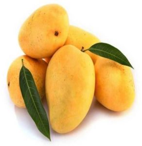 Fresh Badami Mango