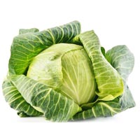 Fresh Cabbage