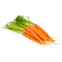 Fresh Carrot