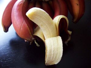 Fresh Red Banana