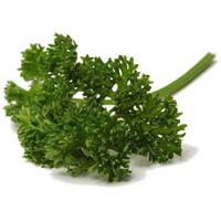 Parsley Leaf