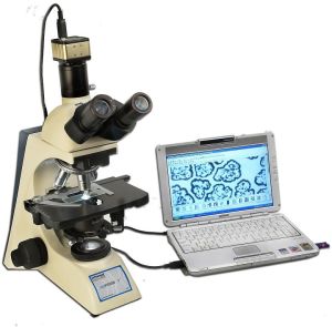 computer interface microscope