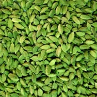 Fresh Green Cardamom