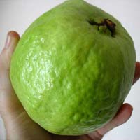 Fresh Guava