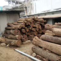 rosewood timber