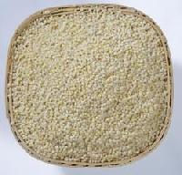 foxtail millet