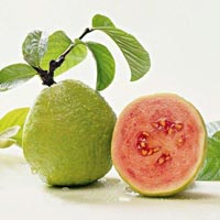 Pink Guava Fruits