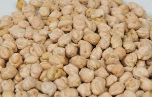 White Chickpeas