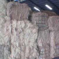 White Coir Fibre