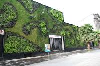 green wall