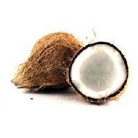 Coconut