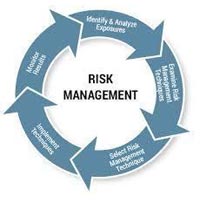 enterprise risk management services