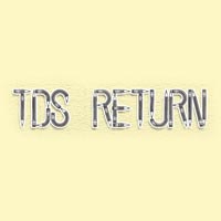 tds return services