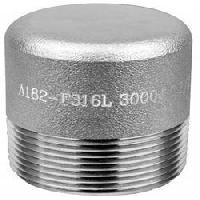 Stainless Steel 316L Square Head Plug