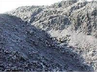 Raw Petroleum Coke