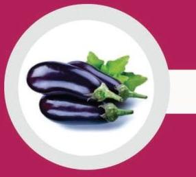 Fresh Brinjal