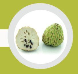 Fresh Custard Apple