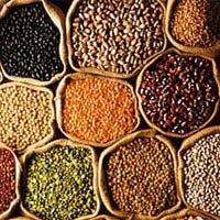 Indian Pulses