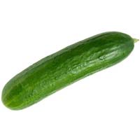 Fresh Cucumber