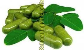 Moringa Capsules