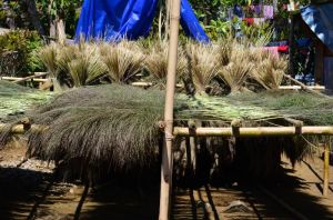 Grass Broom Raw Material Assam