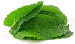 Fresh Country Side Mint Leaves