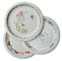 disposable dish